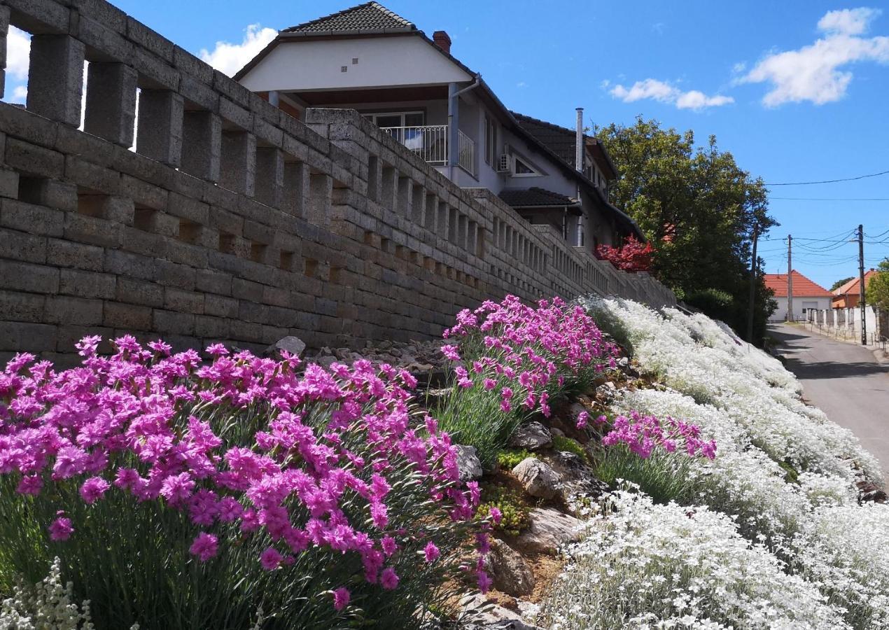 Szabo Vendeghaz Hotel วิลานี ภายนอก รูปภาพ